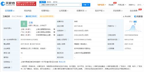 電子產品的技術開發與銷售 創新驅動與市場策略